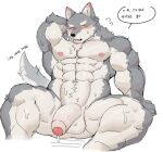 abs anthro balls biceps blush canid canine canis casual_nudity clothed clothing foreskin front_view fur genitals hi_res humanoid_genitalia humanoid_penis lef male mammal manly muscular muscular_anthro muscular_male navel nipples nude pecs penis simple_background sitting wolf