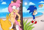 absurd_res amy_rose beach breasts cheating_girlfriend cunnilingus excito genitals hi_res miles_prower onomatopoeia oral public public_sex pussy sega sex sonic_the_hedgehog sonic_the_hedgehog_(series) sound_effects stealth_sex text vaginal