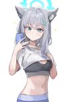  1girl absurdres animal_ear_fluff animal_ears blanc_(whit_blanc) blue_archive blue_eyes blush breasts cellphone closed_mouth extra_ears grey_hair highres holding holding_phone looking_at_viewer medium_breasts medium_hair mismatched_pupils navel phone shiroko_(blue_archive) shirt short_sleeves simple_background smartphone solo upper_body white_background white_shirt wolf_ears 