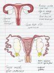 amphibian anatomically_correct bestiality bestiality_impregnation bodily_fluids cervix cloacal cum diagram egg ejaculation fallopian_tubes female feral fictional_species frog genital_fluids genitals hi_res human humanoid impregnation jackrourke343 laboratory mammal notebook notebook_paper_background ovaries oviposition penetration pussy questionable_consent reproductive_anatomy reproductive_system science_fiction solo solo_focus story story_at_source story_in_description transformation transformation_by_substance uterus vaginal vaginal_penetration