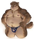 anthro asian_clothing belly blush bodily_fluids bulge canid canine canis clothing domestic_dog east_asian_clothing eyebrows fundoshi fur grey_body grey_fur hi_res japanese_clothing lifewonders male mammal moritaka_(tas) musclegut muscular navel nipples nuhoangxitray pecs scar solo sweat thick_eyebrows tokyo_afterschool_summoners underwear