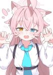  1girl absurdres ahoge animal_ear_fluff animal_ears blue_archive blue_eyes blue_necktie blush cat_ears drawn_whiskers hair_between_eyes halo heterochromia high_(hgih) highres hoshino_(blue_archive) long_hair looking_at_viewer necktie open_mouth paw_pose pink_hair pink_halo shirt simple_background solo sweat very_long_hair white_background white_shirt yellow_eyes 