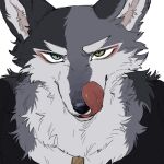  1boy animal_ears black_shirt body_fur dog_tags furry furry_male green_eyes grey_fur heterochromia licking_lips looking_at_viewer male_focus original rata_(norahasu) shirt simple_background solo tongue tongue_out upper_body white_background wolf_boy wolf_ears 