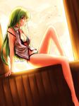  bare_arms bare_legs bare_shoulders bird black_bra black_panties bra breasts cleavage green_eyes green_hair hair_ornament highres kochiya_sanae ling_(vivianling) long_hair looking_at_viewer medium_breasts no_pants off_shoulder open_clothes open_shirt panties shirt sitting sleeveless sleeveless_shirt snake_hair_ornament solo sunset touhou underwear windowsill 