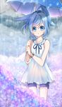  :o animal_ears bad_id bad_pixiv_id blue_eyes blue_hair dress field flower flower_field fox_ears hydrangea original rain short_hair shorts sleeveless sleeveless_dress solo umbrella watch water_drop wristwatch ye_xian 