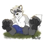 2018 anthro blue_eyes clothing fur grey_fur humanoid_hands male mammal navel pache_riggs pants procyonid raccoon riggsfur simple_background sitting solo 