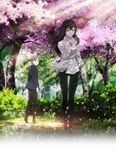  1girl black_hair brown_hair cherry_blossoms dress_shirt expressionless forest highres kujou_sakurako_(sakurako) light_rays long_hair mole mole_under_eye nature official_art pants petals sakurako-san_no_ashimoto_ni_wa_shitai_ga_umatteiru satou_michio shirt short_hair sunbeam sunlight tatewaki_shoutarou tree tree_shade 