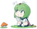  antennae bug cape chibi full_body grass green_eyes green_hair insect ladybug looking_up mary_janes mushroom shoes short_hair shorts simple_background sitting socks solo space_jin touhou white_background wriggle_nightbug 