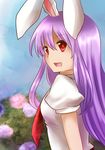  animal_ears blue_sky blurry bunny_ears day depth_of_field dress_shirt flower hydrangea koto_(shiberia39) lavender_hair long_hair looking_away necktie no_jacket open_mouth outdoors red_eyes reisen_udongein_inaba shirt short_sleeves sky solo touhou upper_body 