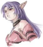  1girl female long_hair md5_mismatch nakroom nm-2011 phantasy_star phantasy_star_ii pointy_ears purple_hair red_eyes resized sega simple_background solo 