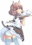  animal_ears ass blush brown_hair cat_ears cat_tail cowboy_shot cup from_behind garter_straps hair_ornament hairclip looking_at_viewer looking_back maid maid_headdress miya_(tokumei) open_mouth original panties pantyshot red_eyes short_hair simple_background solo tail teacup teapot thighhighs tray underwear white_background white_legwear white_panties 