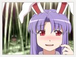  animal_ears bamboo bamboo_forest blurry blush brown_hair bunny_ears commentary depth_of_field dress forest inaba_tewi multiple_girls nature pink_dress purple_hair red_eyes reisen_udongein_inaba shirosato smile touhou wavy_mouth 