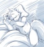  bed bedding blanket canine casual_nudity fox male mammal monochrome nude penis pillow roarey_raccoon sleeping slightly_chubby solo source_request tasteful_nudity 