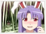  animal_ears bamboo bamboo_forest blurry blush brown_hair bunny_ears commentary depth_of_field dress dress_lift forest inaba_tewi multiple_girls nature pink_dress purple_hair red_eyes reisen_udongein_inaba shirosato smile touhou 