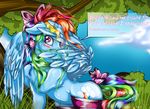  2015 absurd_res blush cute english_text equine female feral friendship_is_magic halfdeathshadow hi_res mammal my_little_pony pegasus rainbow_dash_(mlp) solo text wings 