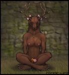  antlers breasts canine chest_tuft convenient_censorship cosmiclife digitigrade female fur gem grass horn looking_at_viewer mammal nude searr sitting solo tuft 
