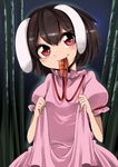  animal_ears bamboo bamboo_forest brown_hair bunny_ears carrot dress food_in_mouth forest harusame_(unmei_no_ikasumi) inaba_tewi jewelry mouth_hold nature pendant red_eyes short_hair smile solo touhou 