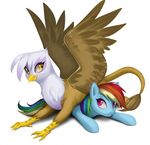  2015 avian duo equine friendship_is_magic gilda_(mlp) gryphon hair mammal multicolored_hair my_little_pony on_top pegasus plain_background rainbow_dash_(mlp) rainbow_hair santagiera white_background wings yellow_eyes 