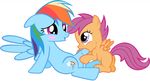  age_difference animated badumsquish balls cub duo equine eye_contact fellatio friendship_is_magic incest male mammal my_little_pony oral pegasus penis plain_background rainbow_dash_(mlp) scootaloo_(mlp) sex white_background wings young 