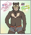  2014 anthro artdecade bear biceps boxer_briefs bulge clothed clothing fur half-dressed japanese_text looking_at_viewer male mammal muscles neck_tuff pecs plain_background pose sloth_bear smile solo teeth text topless underwear underwear_festival willy_(artdecade) 