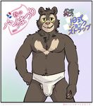  2014 anthro artdecade bear biceps bulge clothed clothing fur half-dressed japanese_text looking_at_viewer male mammal muscles neck_tuff pecs plain_background pose sloth_bear smile solo teeth text topless underwear underwear_festival willy_(artdecade) 