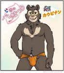  2014 anthro artdecade bear biceps bulge clothed clothing fur half-dressed japanese_text loincloth looking_at_viewer male mammal muscles neck_tuff pecs plain_background pose sloth_bear smile solo teeth text topless underwear underwear_festival willy_(artdecade) 
