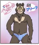  2014 anthro artdecade bear biceps briefs bulge clothed clothing fur half-dressed japanese_text looking_at_viewer male mammal muscles neck_tuff pecs plain_background pose sloth_bear smile solo teeth text topless underwear underwear_festival willy_(artdecade) 