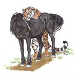  ebonytigress equine feline feral horse male male/male mammal tiger 