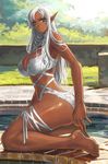  big_breasts bigger_version_at_the_source breasts clothing dark_skin elf female hair humanoid kneeling long_hair outside poolside rannou solo swimsuit white_hair 