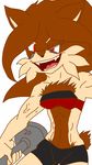  breasts canine fan_character fancharacter female fox mammal shadowperla2013 sonic_(series) sonic_the_hedgehog 