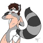  back butt human indycoone looking_back male mammal nogitsunegabriel nude raccoon transformation 