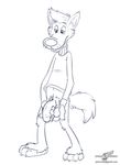  anthro balls barefoot black_and_white bottomless canine clothed clothing flaccid fluffy_tail front_view half-dressed holding_balls holding_penis humanoid_penis line_art looking_at_penis looking_down male mammal mascot monochrome penis pubes shirt signature solo standing symbicort_commercial uncut wolf wolfblade 