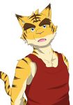  anthro big_muscles blue_eyes clothing feline mammal morenatsu muscles plain_background tiger torahiko_ooshima 