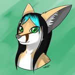  canine cute fallenfolf fennec folf fox girly hybrid male mammal wolf 