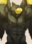  2013 abs anthro avian beak biceps big_muscles bird black_body black_feathers feathers gryphon knuxlight looking_at_viewer male muscles navel nipple_piercing nipples nude pecs piercing plain_background pose raised_arm ralarare smile solo standing wings yellow_eyes 