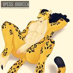  anthro feline hair leopard looking_at_viewer male mammal muscles nipples one_piece penis popesslodovica presenting rob_lucci solo 