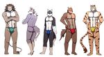  abs anthro bearlovestiger13 biceps canine dog feline fur husky lion male mammal muscles nipples pecs tiger 