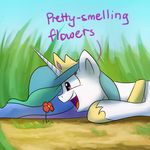  2015 anticularpony english_text equine female feral friendship_is_magic horn mammal my_little_pony princess_celestia_(mlp) solo text winged_unicorn wings 