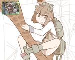  bangs cannon climbing kantai_collection legs looking_at_viewer nns_(sobchan) reference_photo reference_photo_inset slow_loris solo tree_branch yukikaze_(kantai_collection) 