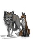  2015 ambiguous_gender canine feral fox fur grey_fur ipoke mammal wolf 