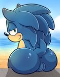  2015 anthro anus beach bedroom_eyes big_butt blush butt cloud crossgender edit female fur green_eyes hair half-closed_eyes hedgehog hi_res huge_butt mammal nude outside presenting presenting_anus presenting_hindquarters presenting_pussy public pussy rodent sea seaside sky smile solo sonic_(series) sonic_the_hedgehog spice5400 spreading thick_thighs video_games voluptuous water wide_hips 