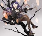  bare_tree black_eyes brown_hair buzz cane crossed_legs gloves gradient_hair hat long_hair md5_mismatch multicolored_hair open_mouth pantyhose pixiv_fantasia pixiv_fantasia_t purple_hair solo tree 