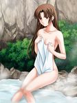  blush breasts brown_eyes brown_hair bush cleavage collarbone highres inuyasha long_hair medium_breasts nude onsen sango sitting solo steam tamamon towel water 