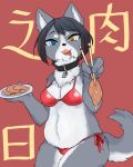  2017 anthro bikini black_hair blue_eyes breasts butt canine chopsticks clothing collar female food fur grey_fur hair heterochromia holding_object looking_at_viewer mammal open_mouth saliva slightly_chubby solo swimsuit text white_fur yellow_eyes 箱內 