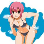  bikini breasts cleavage green_eyes leaning_forward macfist pink_hair rio_rollins short_hair super_blackjack swimsuit 