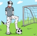  balls canine dalmatian dog innocent male male/male mammal sheath soccer 