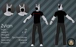  3d black_hair brown_eyes buzzcut clothed clothing equine footwear hair horse male mammal model_sheet muscles pants shirt shoes spots spotted_horse thick_eyebrows v--r zylan 