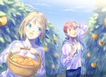  1girl ahoge artoria_pendragon_(all) basket bikkusama blonde_hair emiya_shirou fate/stay_night fate_(series) food fruit highres orange orange_hair orange_tree saber towel towel_around_neck tree yellow_eyes 