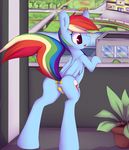  avoid_posting big_eyes blue_fur clothing conditional_dnp cutie_mark equine female friendship_is_magic fur hair horse inside mammal multicolored_hair my_little_pony omiart open_mouth panties plant pony rainbow_dash_(mlp) rainbow_hair smile solo tongue underwear wings 