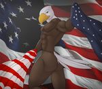  anthro avian ben300 bird butt eagle flag male muscles solo stars_and_stripes united_states_of_america 